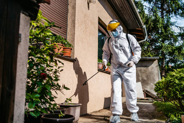 Best Mosquito Control Services  in Converse, IN
