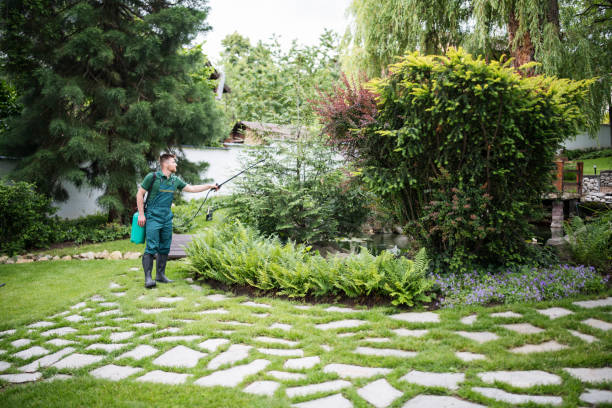 Best Ant Control Services  in Converse, IN