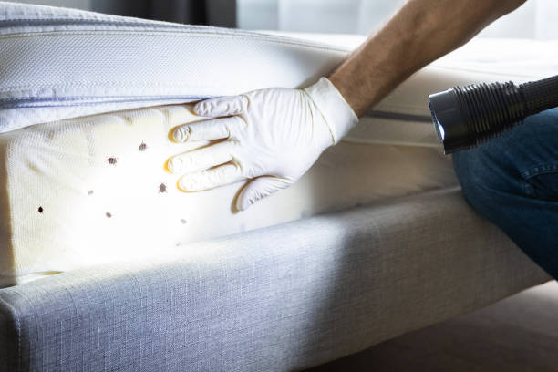 Best Best Pest Control Companies  in Converse, IN