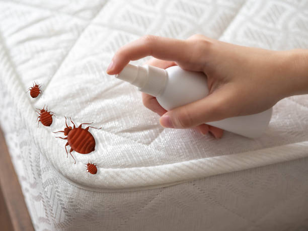 Best Pest Removal Services  in Converse, IN